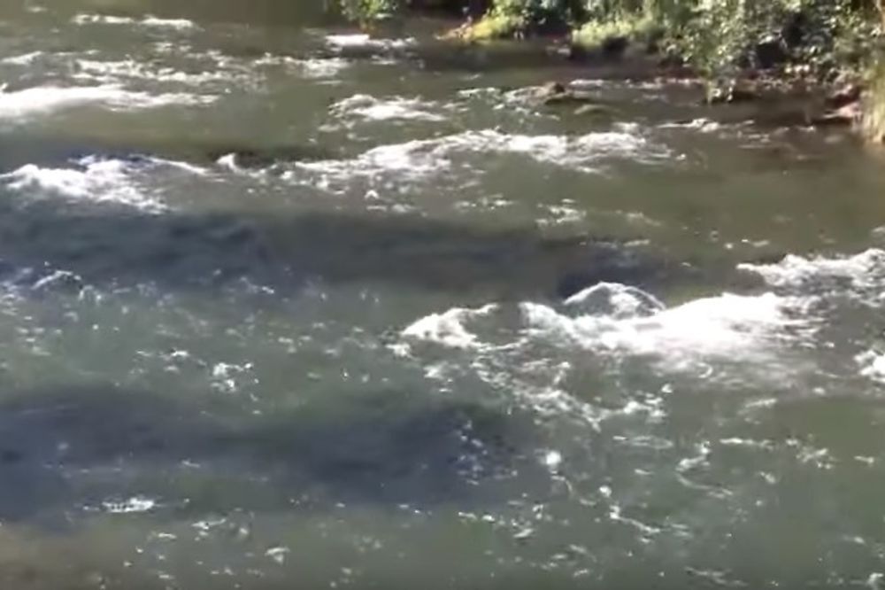 TREĆI DAN POTRAGE: Policija i dalje traži vozača koji je kolima sleteo u reku Vrbas