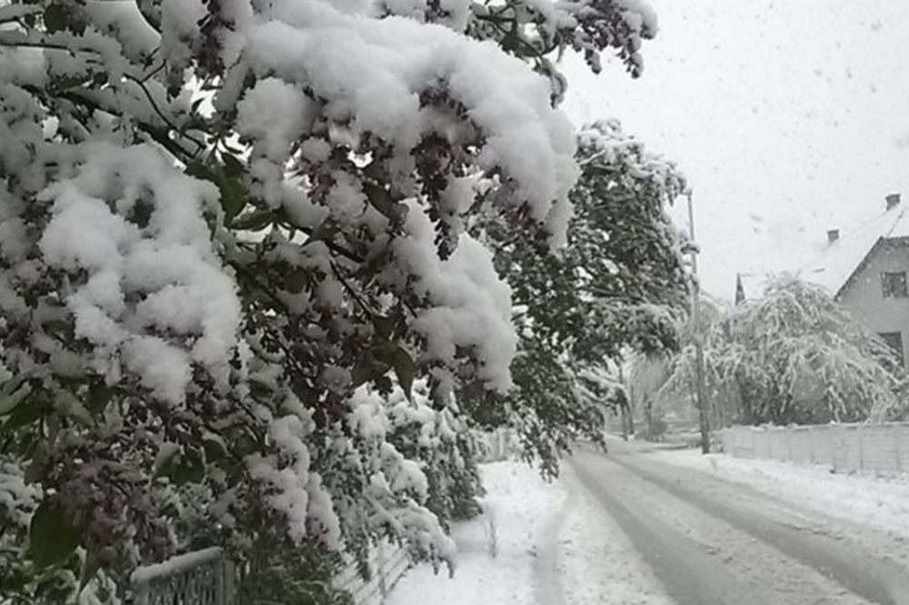 CRNA GORA ZAVEJANA: Visina snežnog pokrivača i do 20 cm