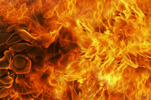 DRAMATIČNO: Veliki požar izbio pored fabrike Lafarž u Beočinu