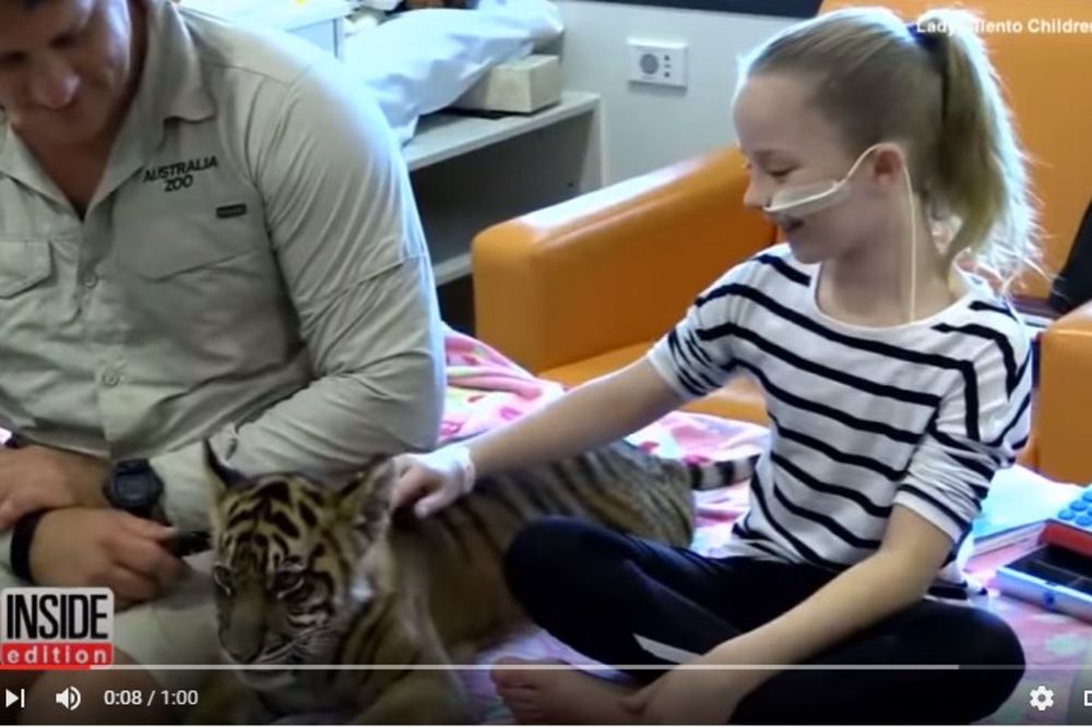 (VIDEO) OVO IM JE ULEPŠALO DAN: Mališani u dečijoj bolnici primili divlje i preslatke goste