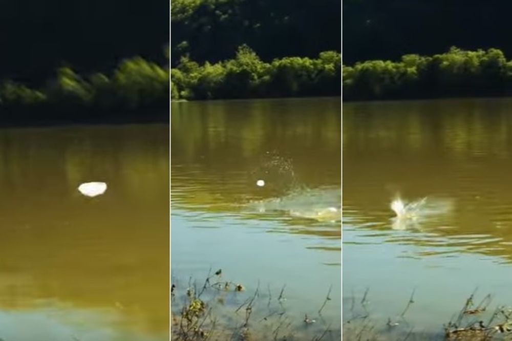 (VIDEO) BURNA REAKCIJA Delovalo je kao da prave žabice na vodi, ali pogledajte šta se posle dogodilo