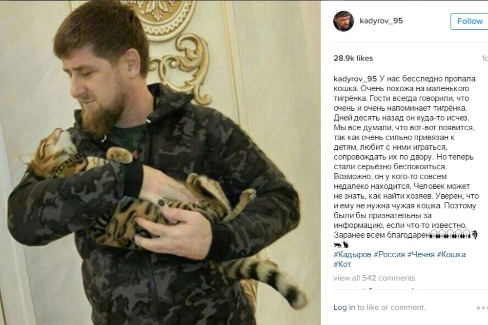 ČEČENSKI LIDER OČAJAN: Nestao mu mačak, na Instagramu traži ljude da mu pomognu