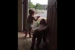 (VIDEO) NEĆETE SKINUTI OSMEH SA LICA: Ovoliku sreću bebe i psa niste videli!