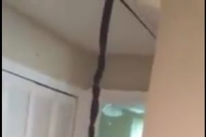 (VIDEO) JEZIVO: Čovek moli za pomoć, zmije mu padaju sa plafona!