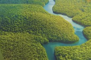 (VIDEO) MITSKA PRAŠUMA: Ovih 10 tajni o Amazoniji sigurno niste znali... Neverovatno!