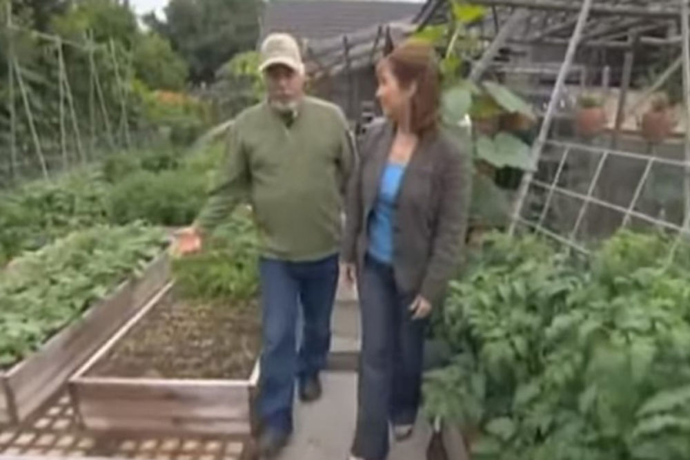 (VIDEO) Pre 10 godina napravili mali vrt: Danas njihovo imanje izgleda neverovatno!