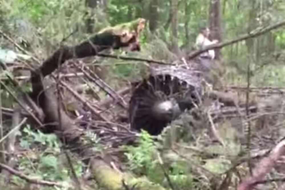 (VIDEO) NESREĆA U RUSIJI: Su-27 Ruskih vitezova pao u Podmoskovlju, pilot poginuo!