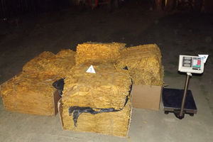 PANČEVO: Zaplenjeno 102 kg švercovanog duvana
