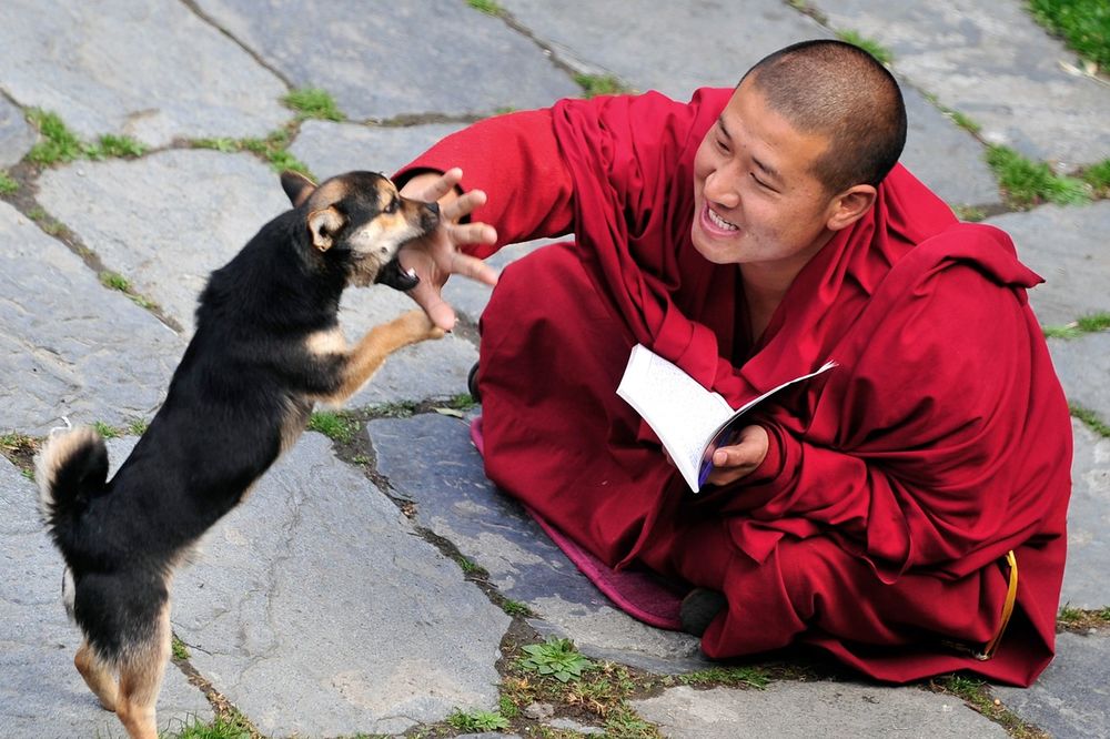 Koju tajnu zdravlja kriju zubi monaha sa Tibeta: Smesa za izbeljivanje koja će vas iznenaditi