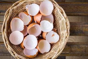 (VIDEO) Kad vidite zašto ona peče ljuske od jajeta, nikad ih više nećete bacati u đubre