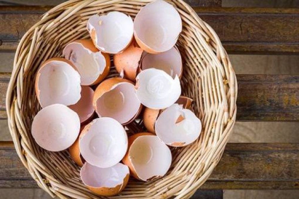 (VIDEO) Kad vidite zašto ona peče ljuske od jajeta, nikad ih više nećete bacati u đubre