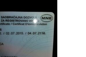 (FOTO) MIRNI MU I UNUČIĆI: Podgoričanin dobio registraciju koja važi sto godina umesto jednu