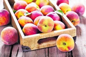 HAOS U INĐIJI: Iz privatnog voćnjaka obrali 600 kilograma breskvi, pa ih prodali na pijaci