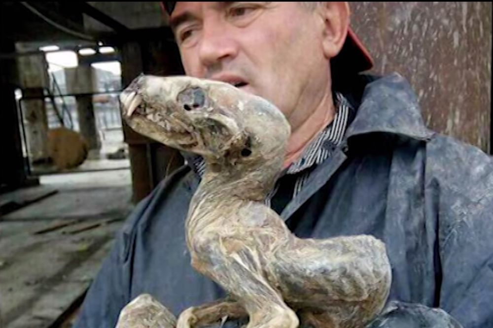 U SRCU RUDNIKA: U Sibiru otkrili ostatke misterioznog čudovišta