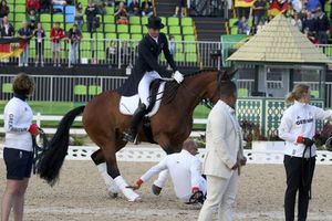 BIZARAN INCIDENT U RIJU: Konj nokautirao dresera pre dodele medalja