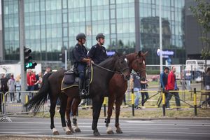 VEĆ 70 GODINA BRINU O BEZBEDNOSTI GRAĐANA: Posetioce Beer festa čuvaće konjička policija