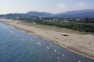 RACIJA NA TEHNO ŽURKI U ULCINJU: Psi iskopali drogu zakopanu u pesku na Velikoj plaži!