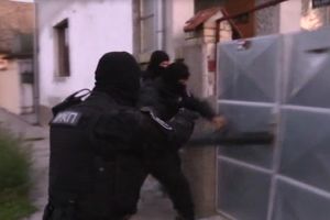 (VIDEO) HAPŠENJE U ZORU: Ovako izgleda Cunami srpske policije