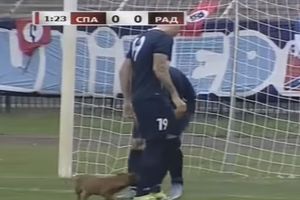 (VIDEO) I OVO JE SUPERLIGA SRBIJE: Pas prekinuo meč u Subotici