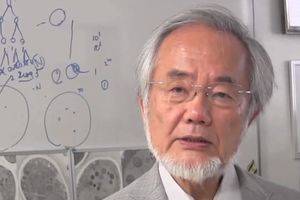 JAPANAC DOBIO NOBELOVU NAGRADU ZA MEDICINU Jošinori Osumi nagrađen za otkriće u vezi sa autofagijom!