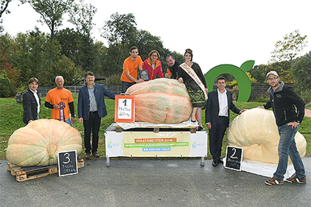 (FOTO) DŽINOVI IZ DONJE AUSTRIJE: Bundeva od 621,7 kilograma pobednik takmičenja za najveću tikvu!