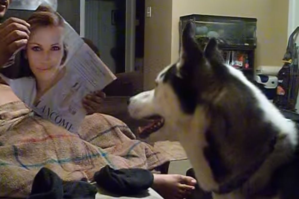 (VIDEO) NIJE NJEN OBOŽAVALAC: Ovaj pas beži od slike Džulije Roberts kao đavo od krsta... Presmešno!