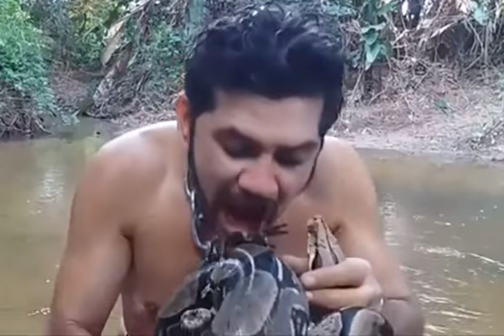 (VIDEO) MAZOHISTA: Pojeo živu tarantulu sa glave zmije, a onda je sve krenulo naopako!