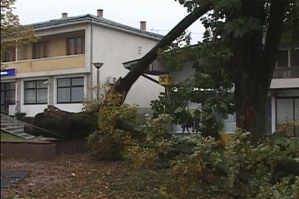 VELIKO NEVREME U MRKONJIĆ GRADU: Olujni vetar polomio stablo staro 80 godina