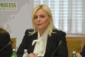 JANA LJUBIČIĆ: DS organizator političkih protesta