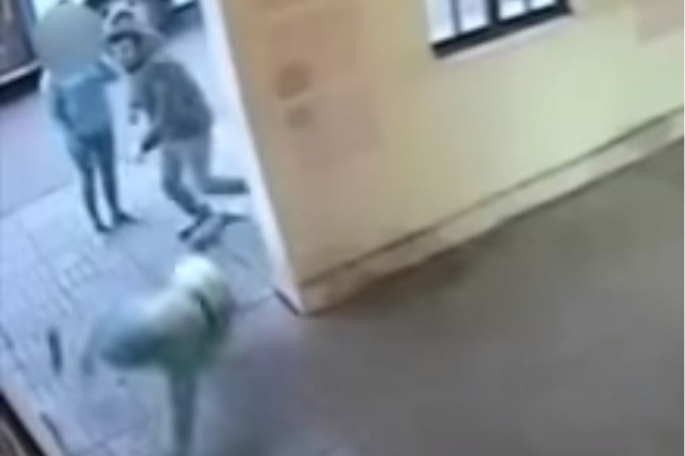 (VIDEO) ZLOČIN I KAZNA: Nasilnik udario devojku, ali ga je pravda ubrzo stigla