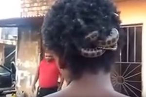 (VIDEO) Zmija živi u kosi ovog čoveka! I njemu to ni najmanje NE SMETA!