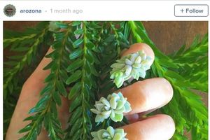 (FOTO) ŽENE ODLEPILE ZA NOVIM BIZARNIM MANIKIROM: Gaje prave biljke na noktima!