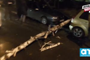 (VIDEO) INCIDENT NA BANOVOM BRDU: Palo drvo na automobile ispred hotela