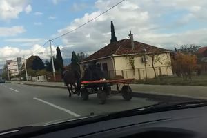 (VIDEO) KONJ SA ŽIVIM RANAMA VUČE ZAPREGU U PODGORICI: I niko ne reaguje ni najmanje