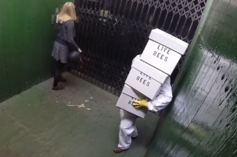 (VIDEO) Ušao je u lift sa tri kutije pčela: Minut kasnije nastalo je čisto ludilo!