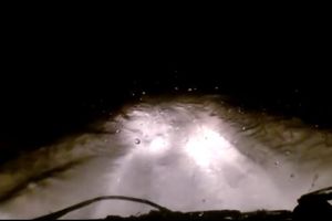 (VIDEO) JEZIVI SNIMAK: Stvorenje nalik JETIJU uhvaćeno kako pretrčava put u snežnoj noći!