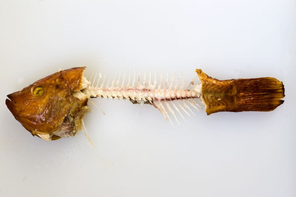 BEZ PANIKE: Evo šta da uradite ako vam riblja kost zastane u grlu