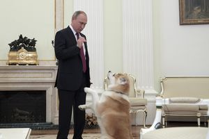 GDE JE PUTIN, TU JE I NJEGOV PAS: Ruski predsednik svuda vodi svog ljubimca, pa čak i na intervjue