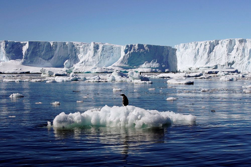 ŠTA SE KRIJE ISPOD SANTI LEDA: Neverovatan svet u velikim dubinama Antarktika!