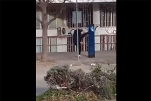 (VIDEO) HIT IZ MOSTARA: Čovek se tukao i svađao sa parking aparatom!