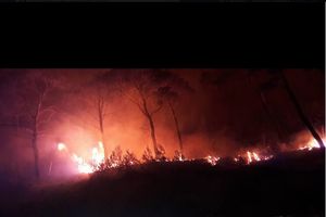 (VIDEO) SPLITU PRETI KATASTROFA: Gori šuma puna mina, čuju se detonacije, vatra stigla do naselja!