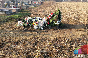 PORODICA ZANEMELA OD TUGE, SRAMOTE I BOLA: Pokojnika u Bajmoku sahranili u kukuruzištu