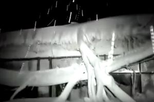 (VIDEO) PRVI SNIMAK ZATRPANOG HOTELA U ITALIJI: Sneg je bio do pola vrata, a iznutra je vladao muk!
