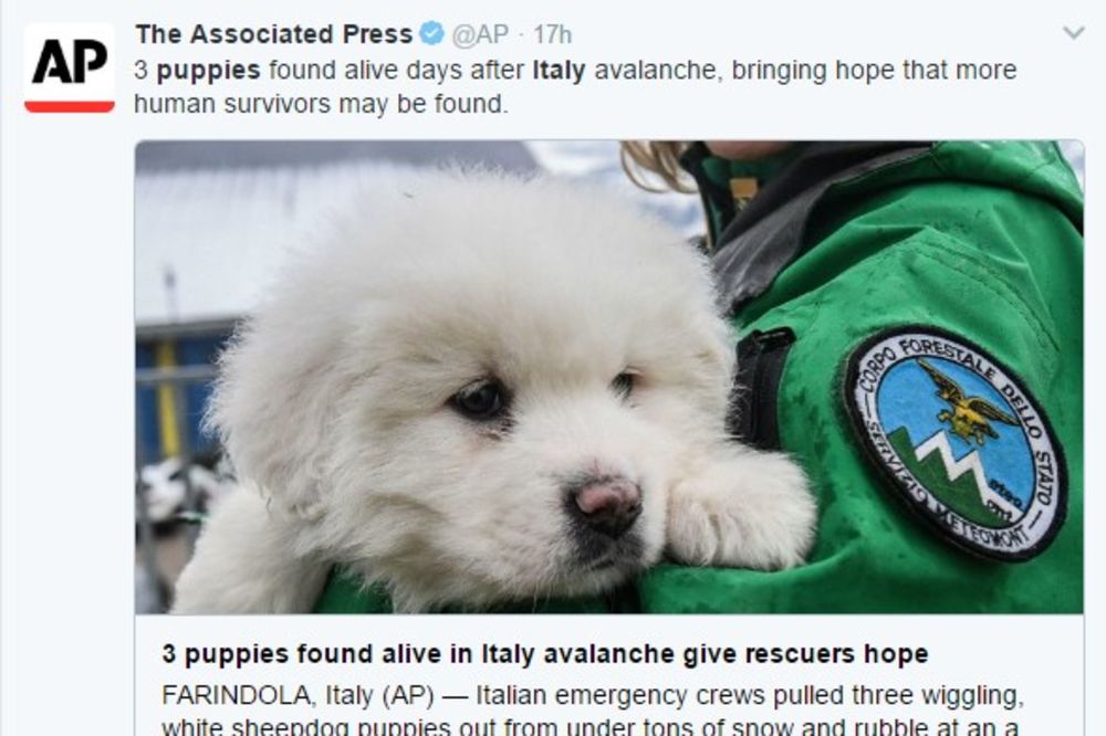 (VIDEO) OVO ĆE VAS DIRNUTI DO SUZA: Tri štenca spasena iz ruševina u Italiji