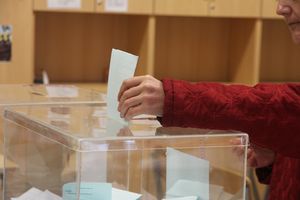 KOORDINATOR POSMATRAČKE GRUPE IZ RUSIJE: Izborni proces bez nepravilnosti