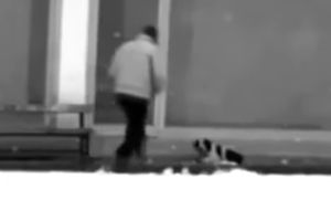 (VIDEO) ZLATNO SRCE: Svojom jaknom ogrnuo psa i spasao ga od smrzavanja... PREDIVNO