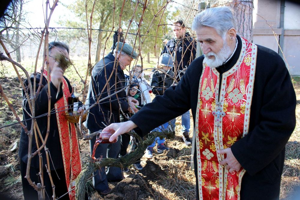 (FOTO) JAGODINCI PROSLAVILI SVETOG TRIFUNA: Dede i unuci vinovu lozu zalivali vinom