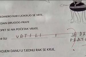 (FOTO) POLA ODELJENJA DOBILO KECA NA TESTU: Evo šta nisu znali hrvatski prvačići!