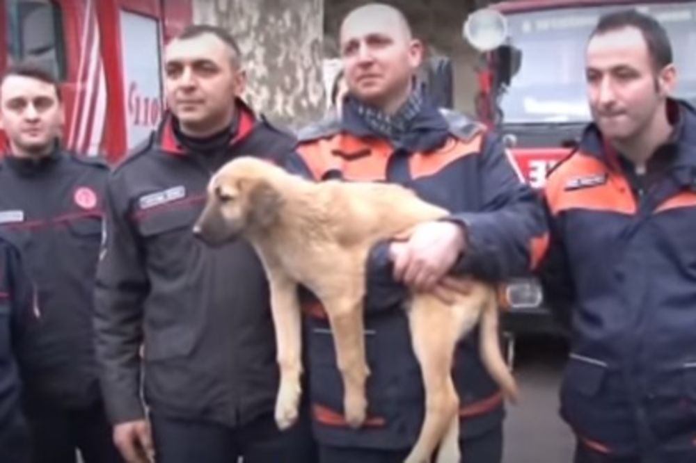 (VIDEO) NATERAĆE VAM SUZE NA OČI: Turski spasioci izvukli štene iz jame duboke 70 metara!