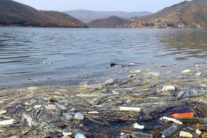 (FOTO) GRAĐANI ZABRINUTI: Bovansko jezero puno ĐUBRETA, Aleksinčani U STRAHU zbog VODE ZA PIĆE